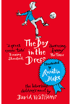 Book cover for The Boy in the Dress